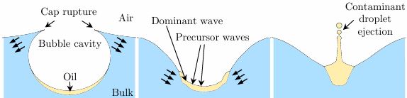 [cr][lf]<p>A cap rupture on a bubble coated with oil. Surface waves cause the surface oil to be ejected in an aerosol jet. (10.1103/PhysRevLett.134.214001)</p>[cr][lf]