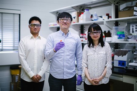  Dr. Xiaohui Song, Dr. Juyeong Kim, and Assistant Professor Qian Chen in the lab.