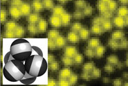 Fluorescence image of octahedra taken from the bottom, with schematic illustration. 