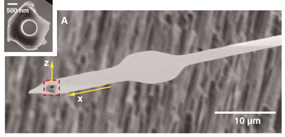 Image of Catilever with attached annular SRO particle. 