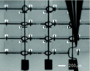 4x4 GaAs LED array interconnected with spanning silver microelectrodes. 