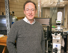 Professor Steve Granick