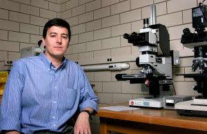 John Rogers has been named the 2007 Daniel C. Drucker Eminent Faculty Award winner by the Illinois Alpha chapter of Tau Beta Pi, the national engineering honor society. 