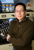Prof. Gerard Wong