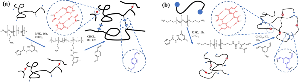 <em>The two different types of polymer architectures with dynamic bonds at crosslink points.</em>