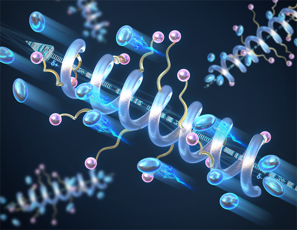 Artistic representation of a helical peptide polymer electrolyte with the macrodipole indicated by an arrow with positive and negative charges.